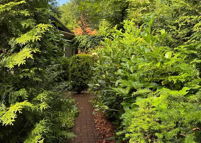 Lägenhet Natuurhuisje Op De Veluwe