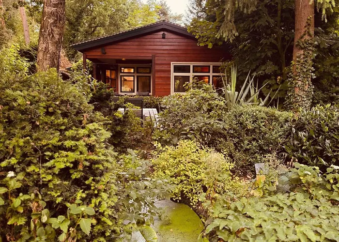 Natuurhuisje Op De Veluwe Emst