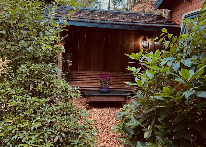 Natuurhuisje Op De Veluwe Lägenhet Emst