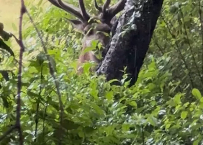 アパート Natuurhuisje Op De Veluwe エムスト